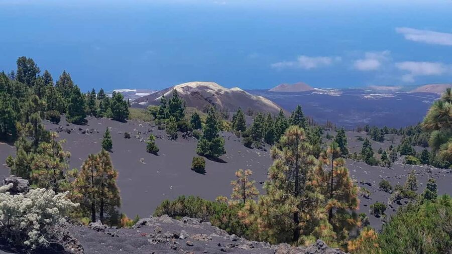 La Palma: Guided e-bike tour (trekking) - Key highlights at a glance