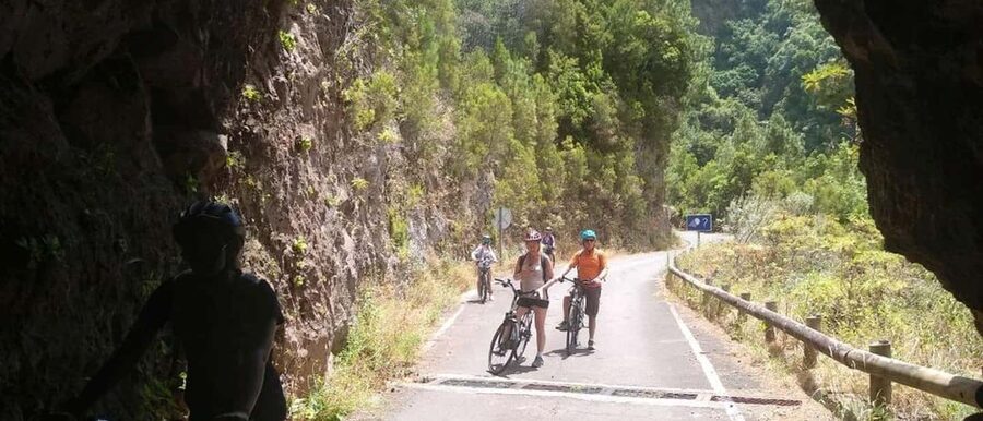 La Palma: Guided e-bike tour (trekking) - A Four-Hour E-Bike Ride Through La Palma’s East Side