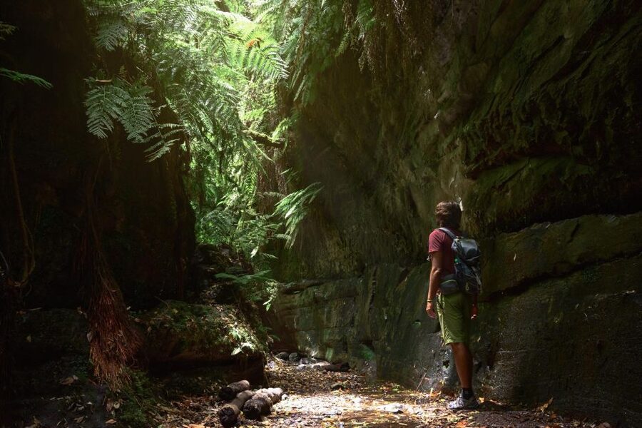 La Palma: Guided Trekking Tour To Cubo de la Galga - Key things to love about Cubo de la Galga