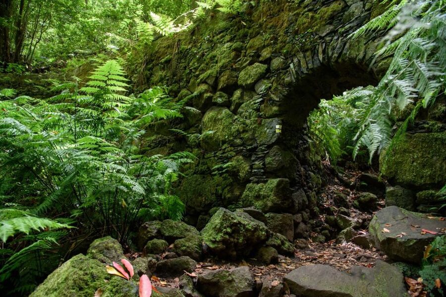 La Palma: Guided Trekking Tour To Cubo de la Galga - Price and value: is $38 worth a guided 11 km trek?