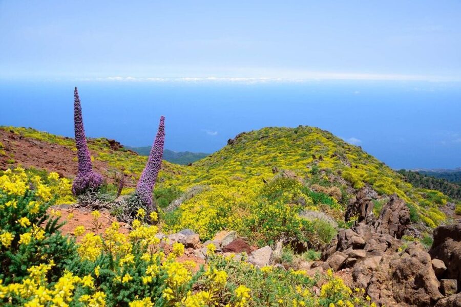 La Palma: Guided Trekking Tour to El Roque de los Muchachos - Key things that make this El Roque trek worth it