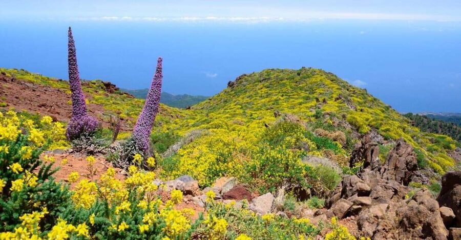 La Palma: Guided Trekking Tour to El Roque de los Muchachos - El Roque de los Muchachos: why this tour hits the sweet spot on La Palma