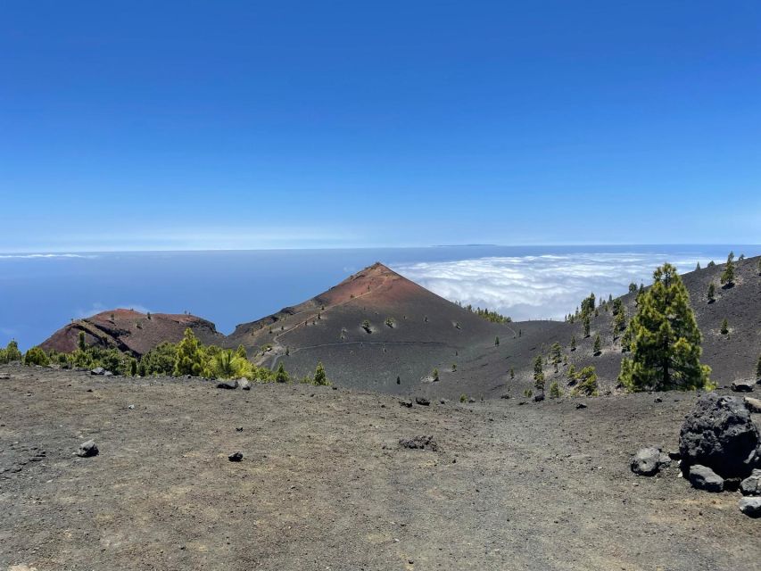 La Palma: Guided trekking tour to volcanoes south - Hoyo Negro crater and the cloud sea moment