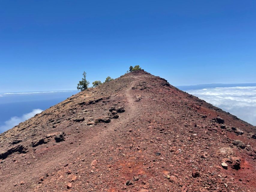 La Palma: Guided trekking tour to volcanoes south - Getting back to your day: Los Canarios finish and transfer