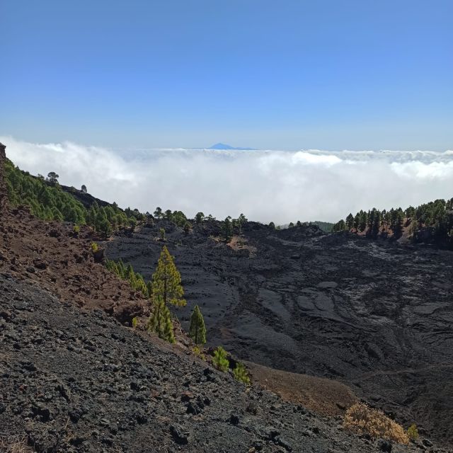 La Palma: Guided trekking tour to volcanoes south - Price and value: why $50 can make sense here