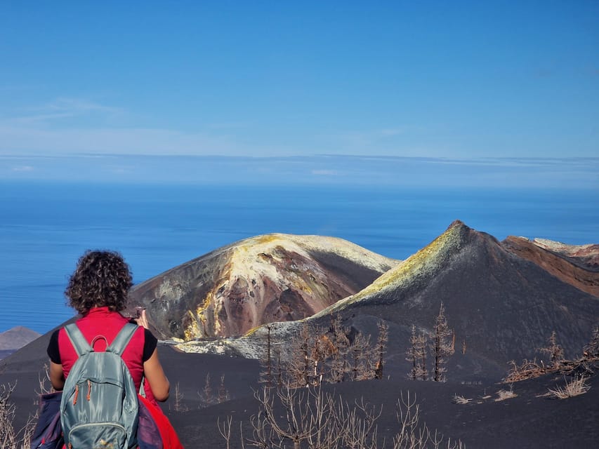 La Palma: Tajogaite Volcano Guided Trek - Key Highlights That Matter on This Hike