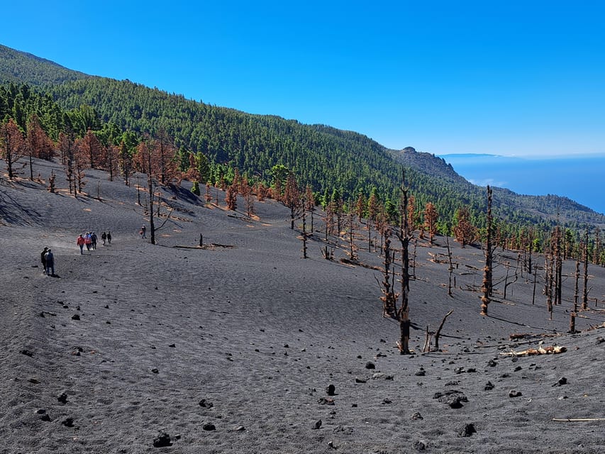 La Palma: Tajogaite Volcano Guided Trek - Price and Value: Why $45 Feels Like a Deal