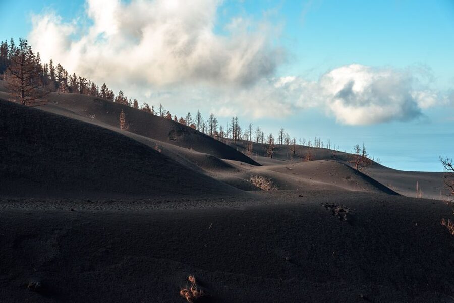 La Palma: Tajogaite Volcano Guided Trek - Guides Can Make or Break This Trek (So Choose Your Day Wisely)