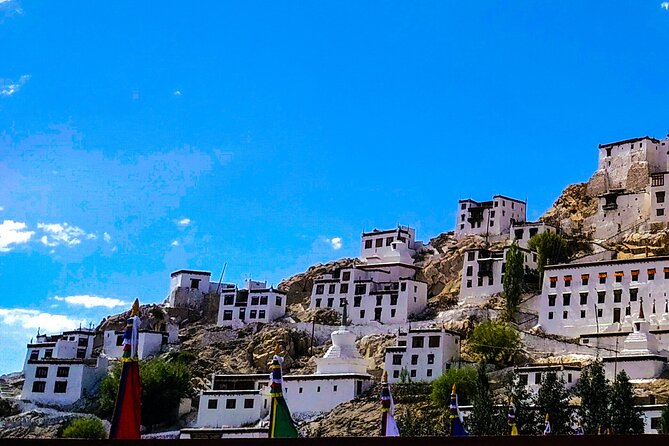 Ladakh Sham Valley Trek - Quick Hits: What Makes This Trek Worth Your Time