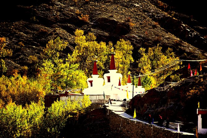 Ladakh Sham Valley Trek - A Beginner Trek That Still Demands Respect at High Altitude