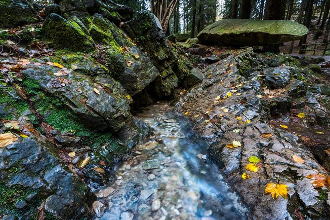 Lake Como trekking private guided tour, from Milan - What to Pack for a 1600m Mountain Day (and avoid the usual mistakes)