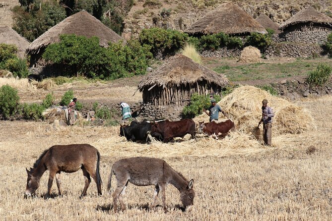 Lalibela 2-Day Eco Trekking Tour - Price and value: what you’re paying for (and what’s extra)