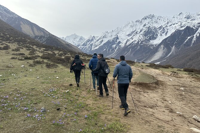Langtang Trekking - Kyanjin Ri and Kyanjin Gompa: the big viewpoint-meets-monastery combo