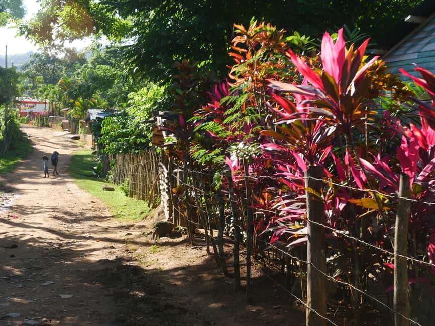 Las Terrenas: El Limón Waterfall Trekking Tour in Samana - The 2 km jungle trail: easy effort, real footing needs