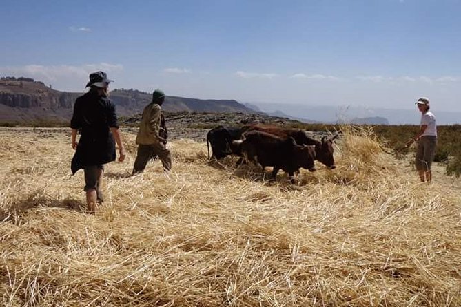 Lasta Mountains: Highland Eco Trekking Tour in Lalibela - Meals, snacks, and bottled water: small thing that matters big