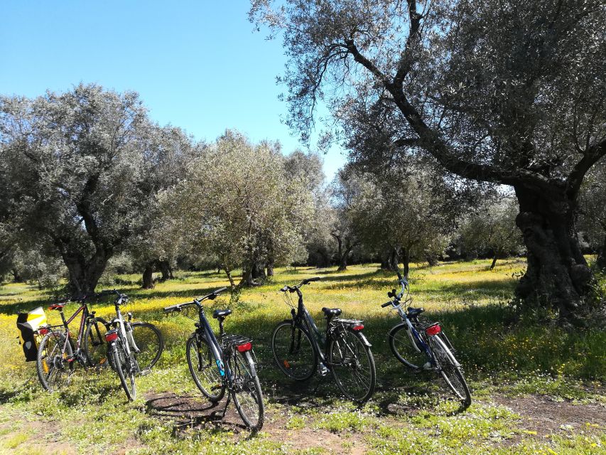 Lecce: Bike Rental (City, Trekking, E-Bikes) - A realistic timeline for your rental days (1 to 7)