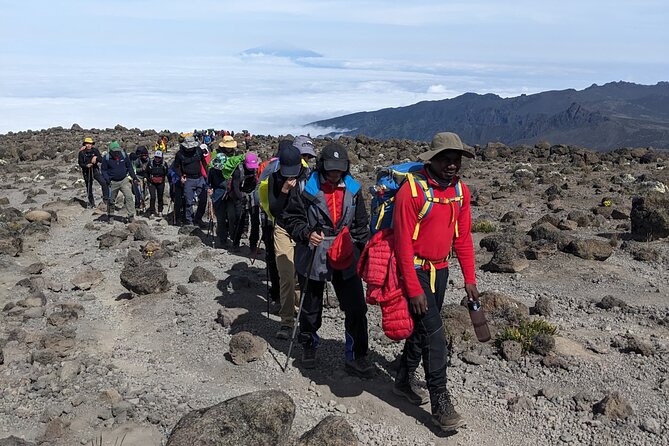 Lemosho Route 7 Days Trekking at Mount Kilimanjaro - Day 7 down to Mweka Gate: rainforest walking and a certificate moment
