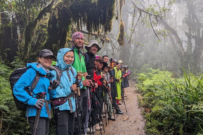 Lemosho Route 7 Days Trekking at Mount Kilimanjaro - Day 1 to Mti Mkubwa Camp: Rainforest walking and your first altitude gain