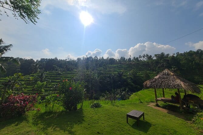 Lemukih Hidden Trekking Waterslide Sekumpul and Fiji Waterfall - North Bali time in one day: pacing, pickup, and how the route works