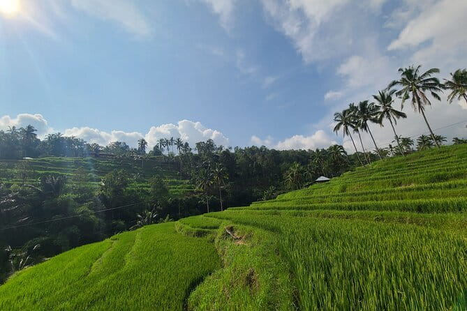 Lemukih Hidden Trekking Waterslide Sekumpul and Fiji Waterfall - Who this is for: adventure seekers with moderate fitness