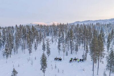 Levi: Riding Trek with Icelandic Horses - The horses and the training: how they make this beginner-friendly