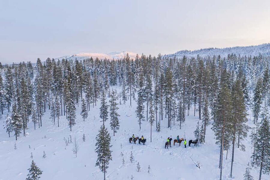 Levi: Riding Trek with Icelandic Horses - The horses and the training: how they make this beginner-friendly
