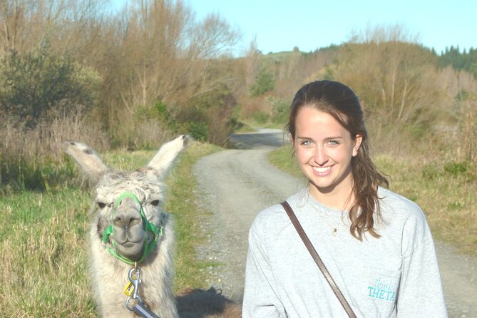 Llama Trek (Taster) - Kowhai River Valley and Native Woodland Tour - Who this taster is best for