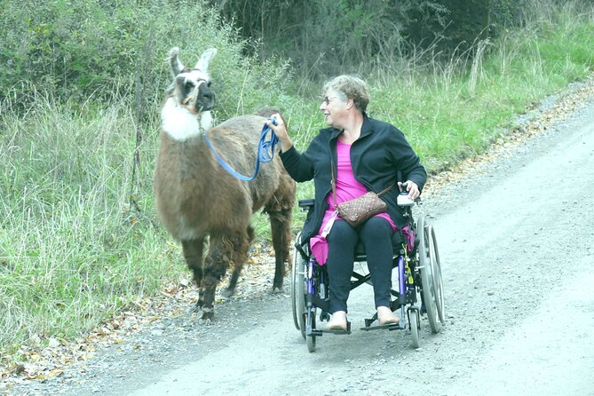 Llama Trek (Taster) - Kowhai River Valley and Native Woodland Tour - What to bring for a smooth time outdoors