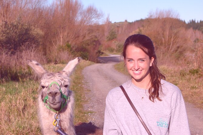Llama Trek (Taster) - Kowhai River Valley and Native Woodland Tour - Llamas up close: what Kevin teaches you about their behavior