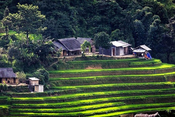 Local Experience in Sapa trekking tours - Guide Quality and Safety: Names You May Hear (Hoa, Su May)
