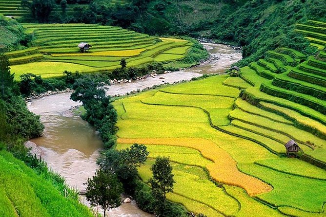 Local Experience in Sapa trekking tours - Who This Sapa Trek Suits Best (and Who Should Rethink It)