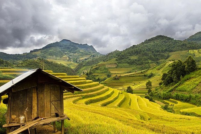 Local Experience in Sapa trekking tours - Should You Book This Sapa Trek with Asia Vacation Travel?