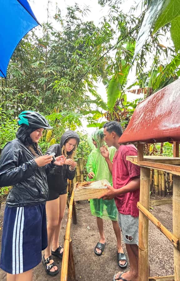 Lombok: Off-Road ATV Ride, Jungle Trek & Waterfall Escape - Who this tour fits best (and who should look at other options)