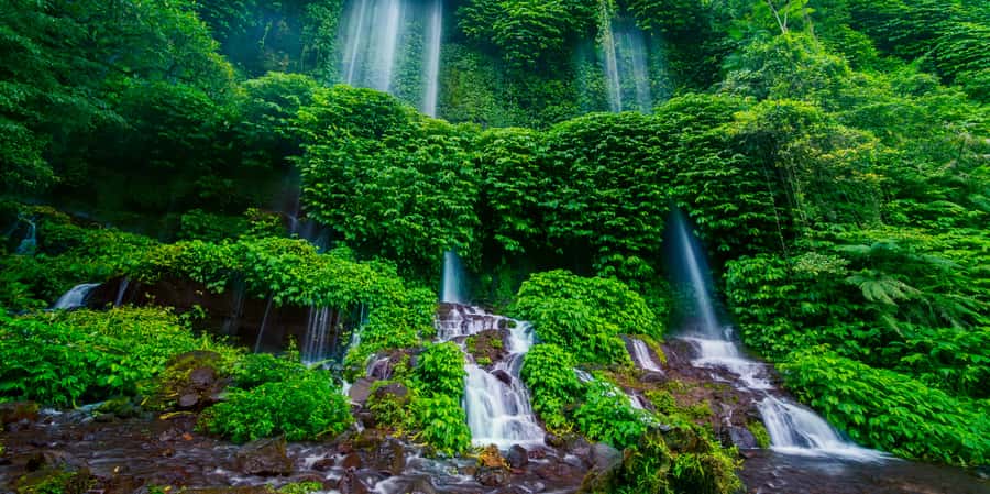 Lombok: Off-Road ATV Ride, Jungle Trek & Waterfall Escape - ATV through rice fields: what that 30–45 minute ride is really like
