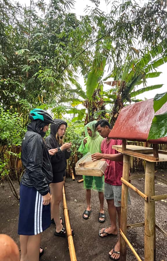 Lombok: Off-Road ATV Ride, Jungle Trek & Waterfall Escape - Traditional Lombok lunch: simple, local, and timed for energy