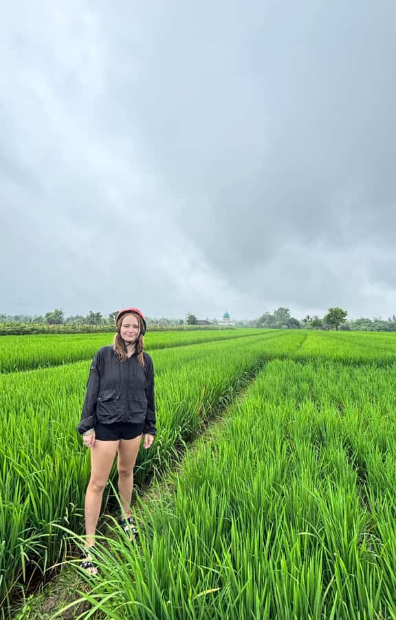 Lombok: Off-Road ATV Ride, Jungle Trek & Waterfall Escape - Price and value: why $90 can make sense here