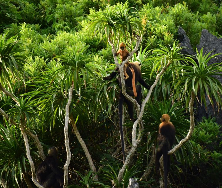 Long Trekking Catba national park, Lan ha bay full day trip - Key highlights at a glance