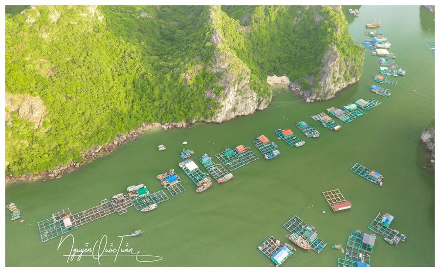 Long Trekking Catba national park, Lan ha bay full day trip - The big picture: trek, bikes, then Lan Ha Bay on a tight 9-hour loop
