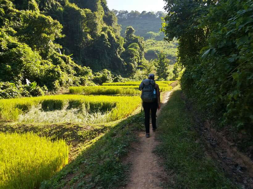Luang Prabang: 3-Day Cultural Remote Trek With Homestay - Why This Trek Feels More Like Real Village Life