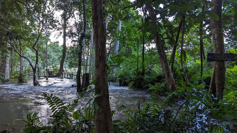 Luang Prabang: Full Day Trek to Kuang Si Waterfall & Village - Why This Kuang Si Trek Feels More Than a Sightseeing Stop
