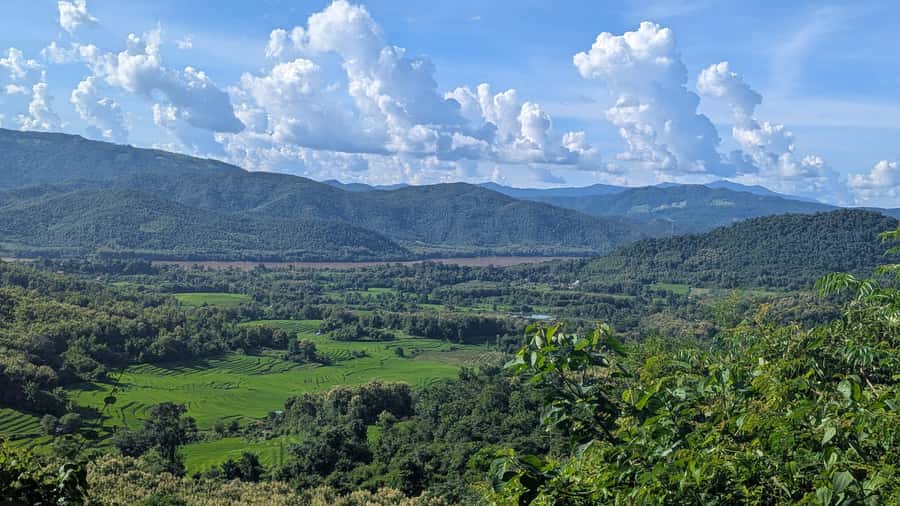 Luang Prabang: Full Day Trek to Kuang Si Waterfall & Village - The Main Trek Through Rice Paddies, Orchards, and Forest
