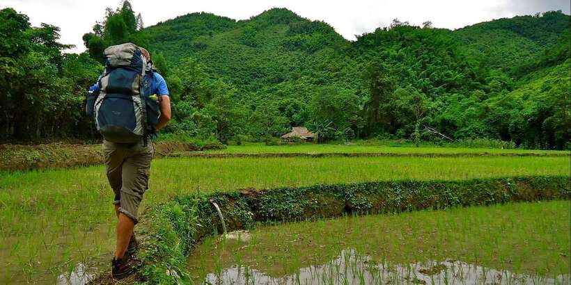 Luang Prabang Thin Pha Trail & Tad Sae Falls Trek - Back on the trail: flora, fauna, and how your guide keeps it meaningful
