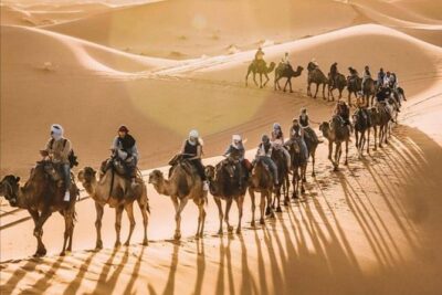LUXURY Desert Camp: 3 Days Marrakech to Merzouga and Camel Trek - Day 2: Dades and Todra Gorges Before Your Camel Trek Into Camp