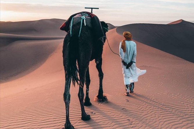 LUXURY Desert Camp: 3 Days Marrakech to Merzouga and Camel Trek - Day 3 Sunrise Camels and the Return via Draa Valley and Roses Valley