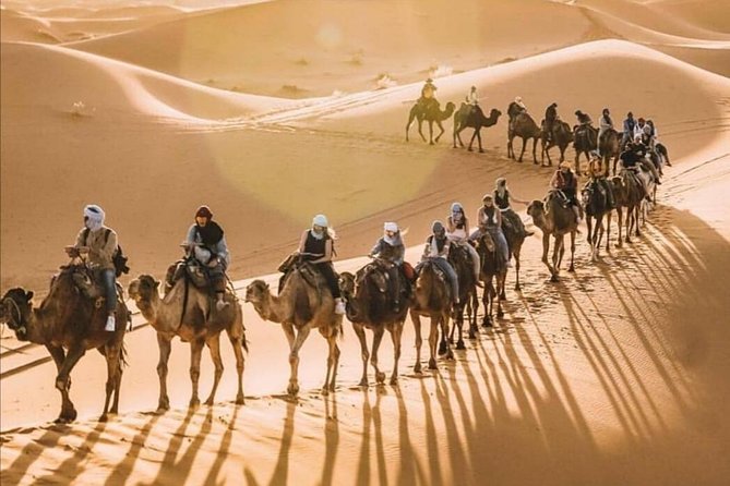 LUXURY Desert Camp: 3 Days Marrakech to Merzouga and Camel Trek - Day 2: Dades and Todra Gorges Before Your Camel Trek Into Camp