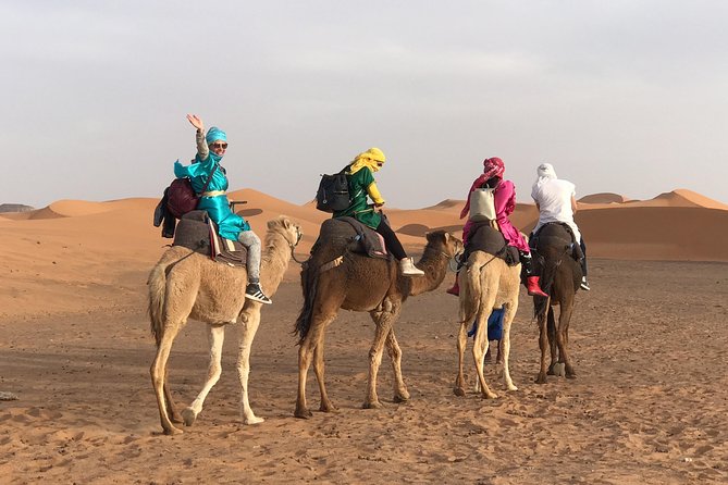 Luxury Private 4-Day Camel Trekking and Kasbah Trail from Marrakech - Day 3: Agdz panorama, the Draa valley/oasis area, and Ouarzazate’s riad night