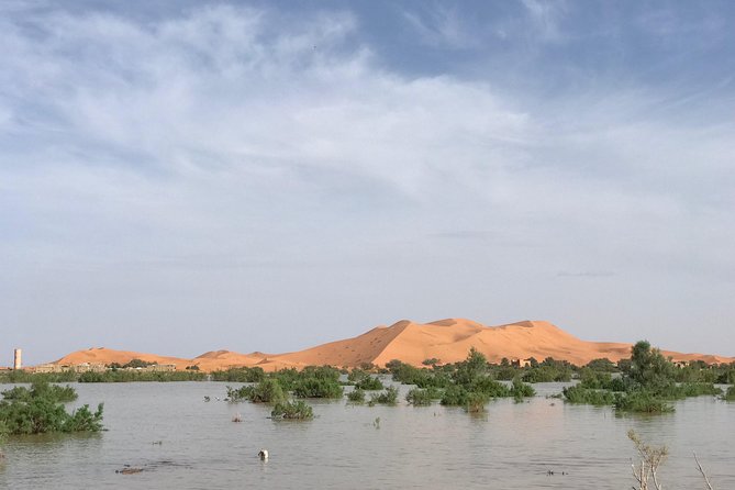 Luxury Private 4-Day Camel Trekking and Kasbah Trail from Marrakech - Price and included value: is $785.35 per person a good deal?