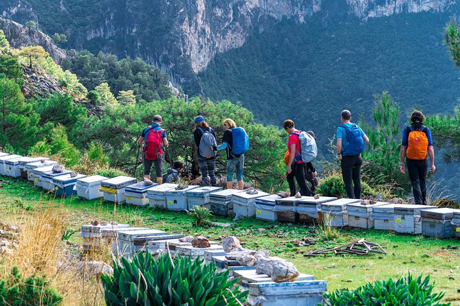 Lycian Way Trekking Tour (7 Days) - Day 1: Telmessos → Kayaköy → Ölüdeniz Descent (Total 15 km)