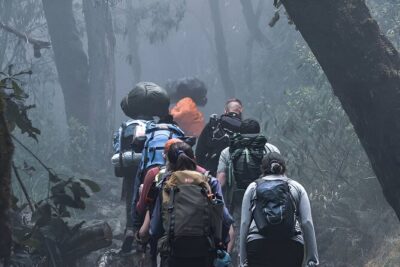 Machame Route 7-Day Private Kilimanjaro Trek - Day 2: Rainforest Out, Moorlands In to Shira Camp
