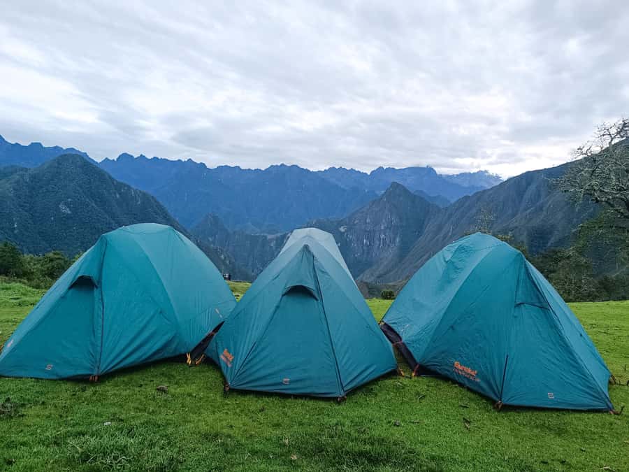 Machu Picchu: 5-Day Salkantay Trek with Panoramic Train - Support team and food: why the “small details” drive satisfaction